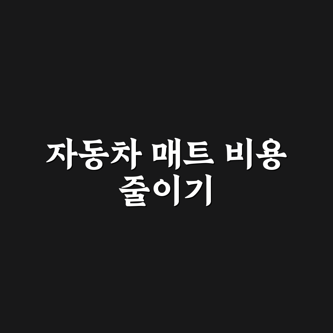자동차 매트 세척 비용 아끼는 집청소 루틴 5가지 핵심가이드
