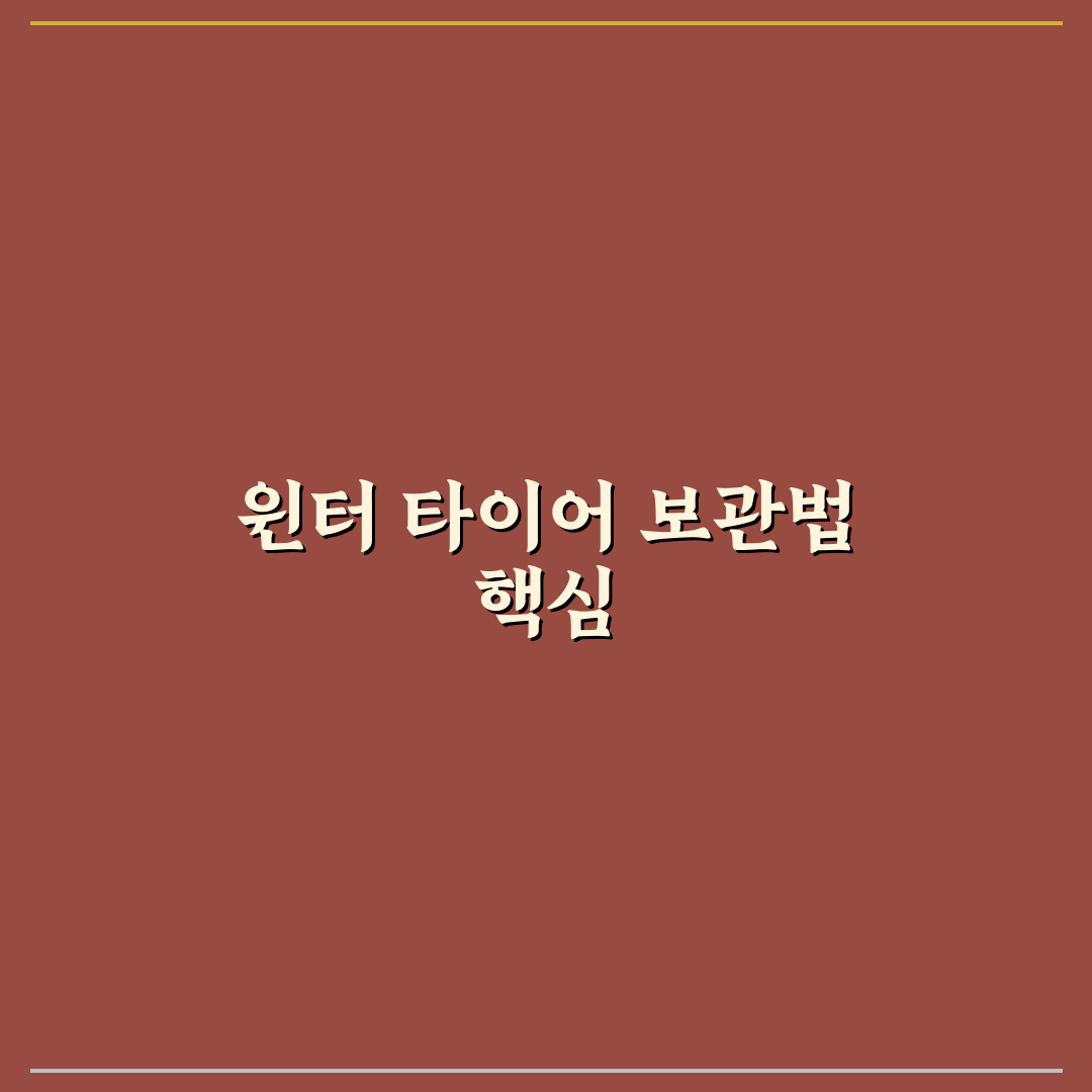 윈터 타이어 보관 서비스 비용과 집보관 5가지 핵심 비교 체크포인트