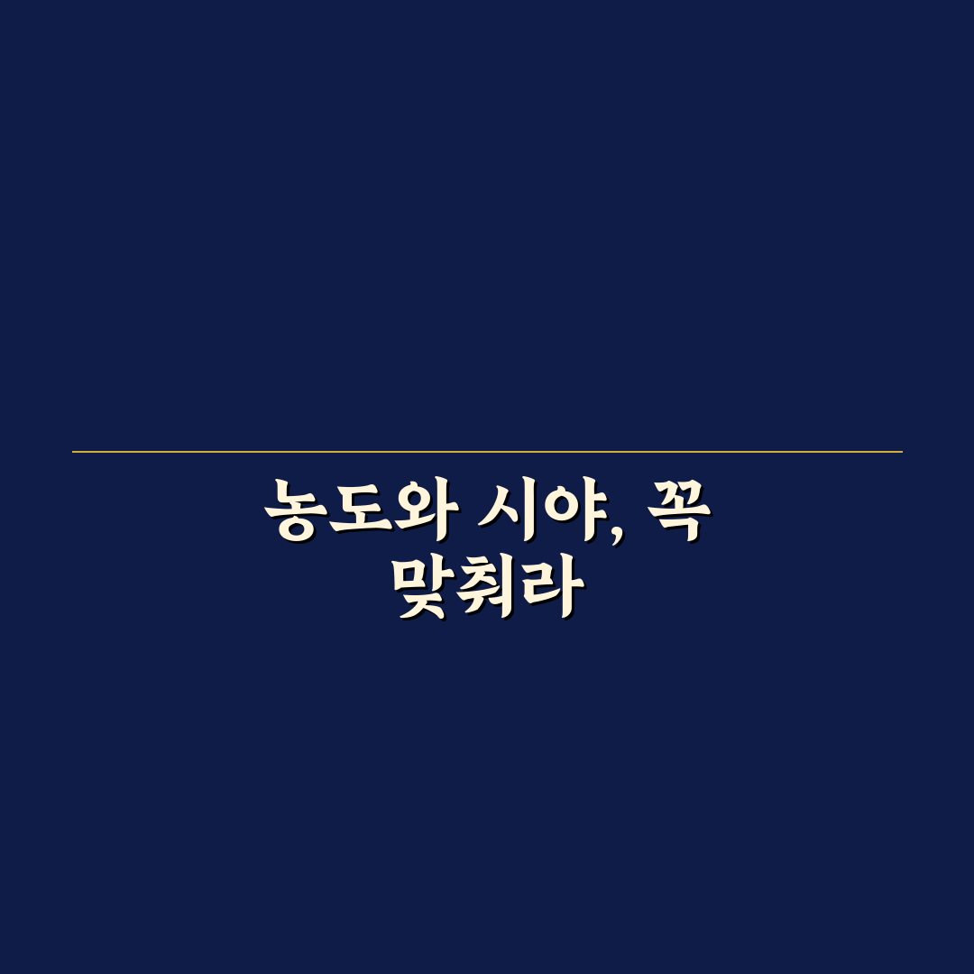 틴팅 농도 추천과 야간 시야까지 고려한 5가지 핵심 가이드