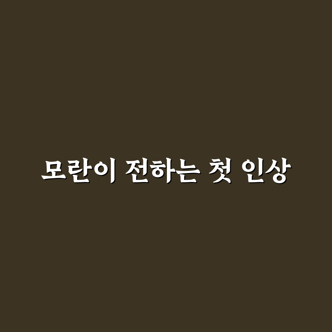 모란이 피기까지는 해석, 직접 읽어보니 느낀 점