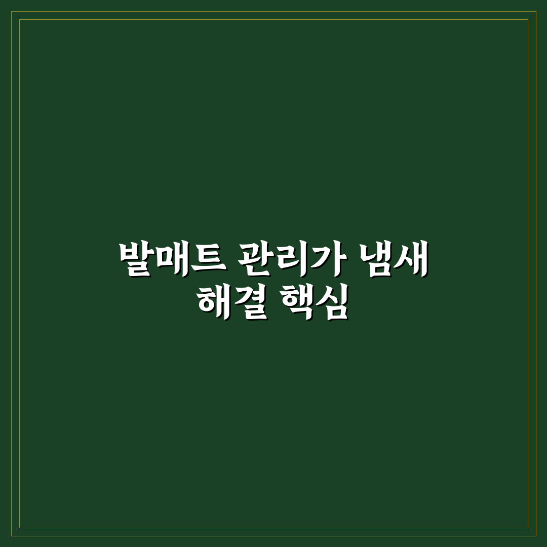 발매트 세척과 건조 제대로 해야 냄새 안 나는 이유 5가지 체크포인트 총정리