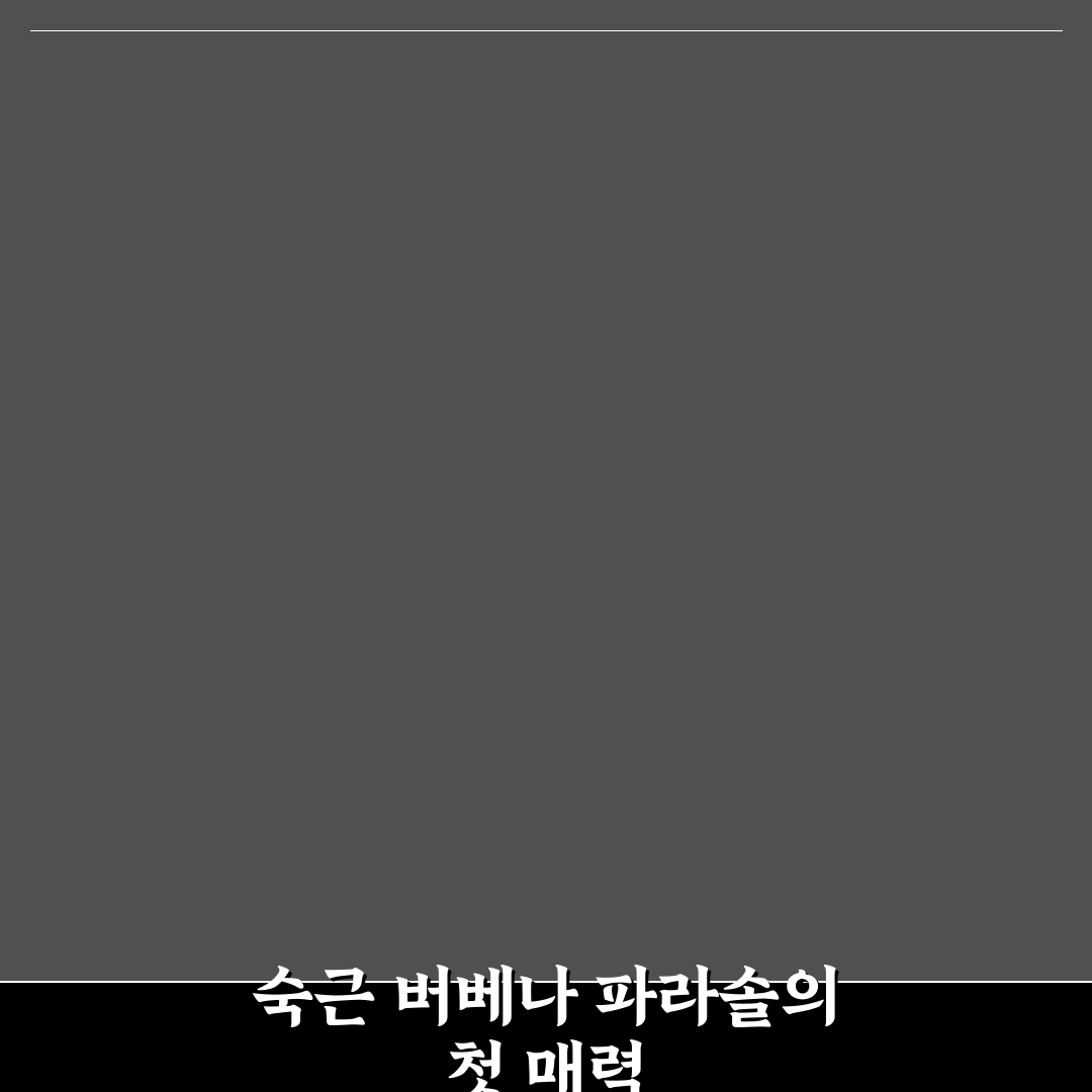 숙근 버베나 파라솔 사용 후기, 직접 키워보니 느낌은