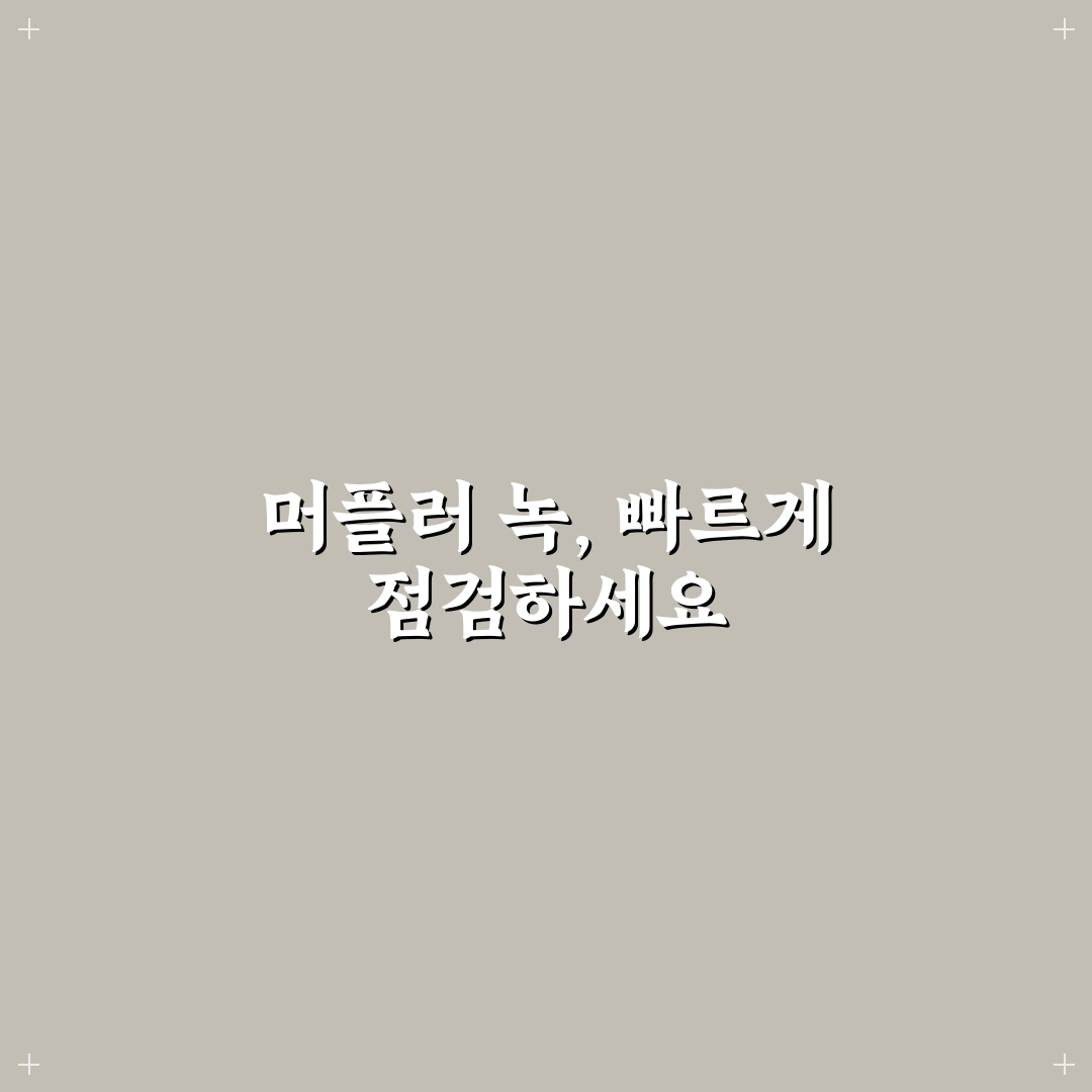머플러 녹 제거 가능할까 교체와 관리 기준 5가지 핵심가이드