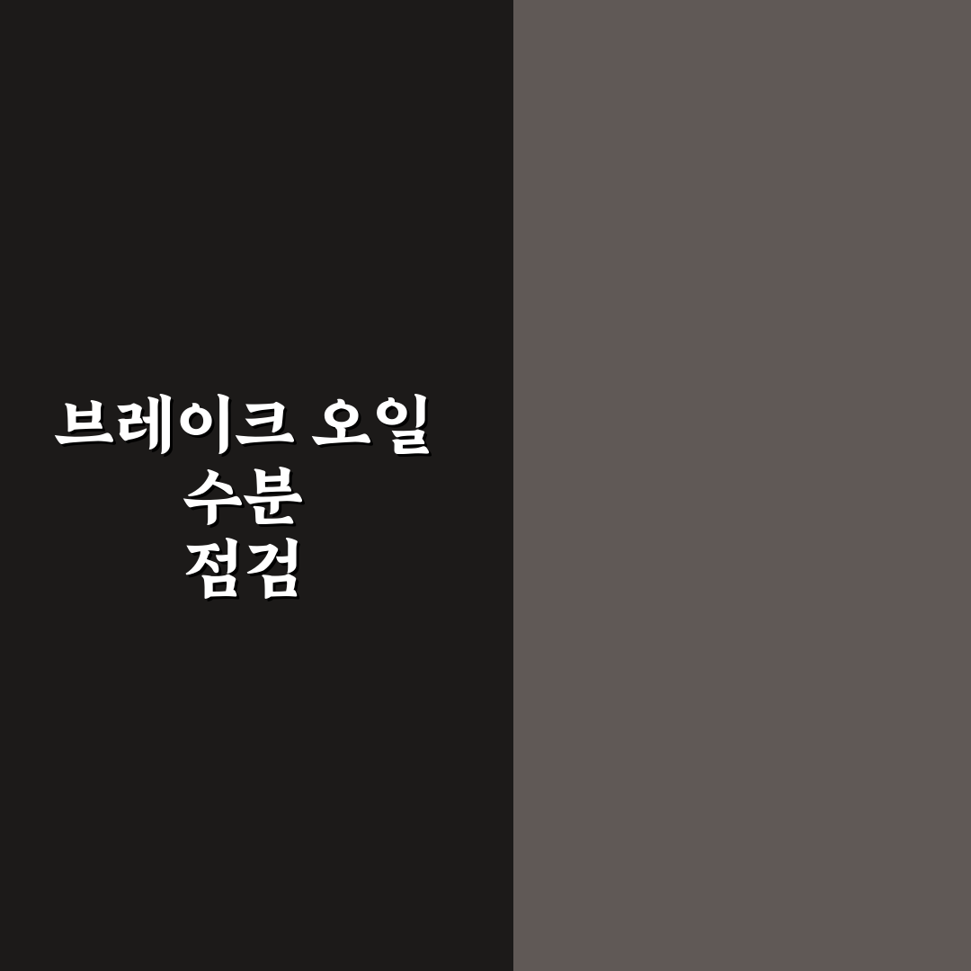 브레이크 오일 수분 테스트 왜 필요한지 5가지 체크포인트 총정리