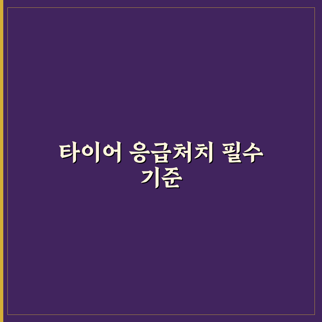 타이어 펑크 수리 키트 사용법과 임시 조치 한계 5가지 체크포인트 총정리