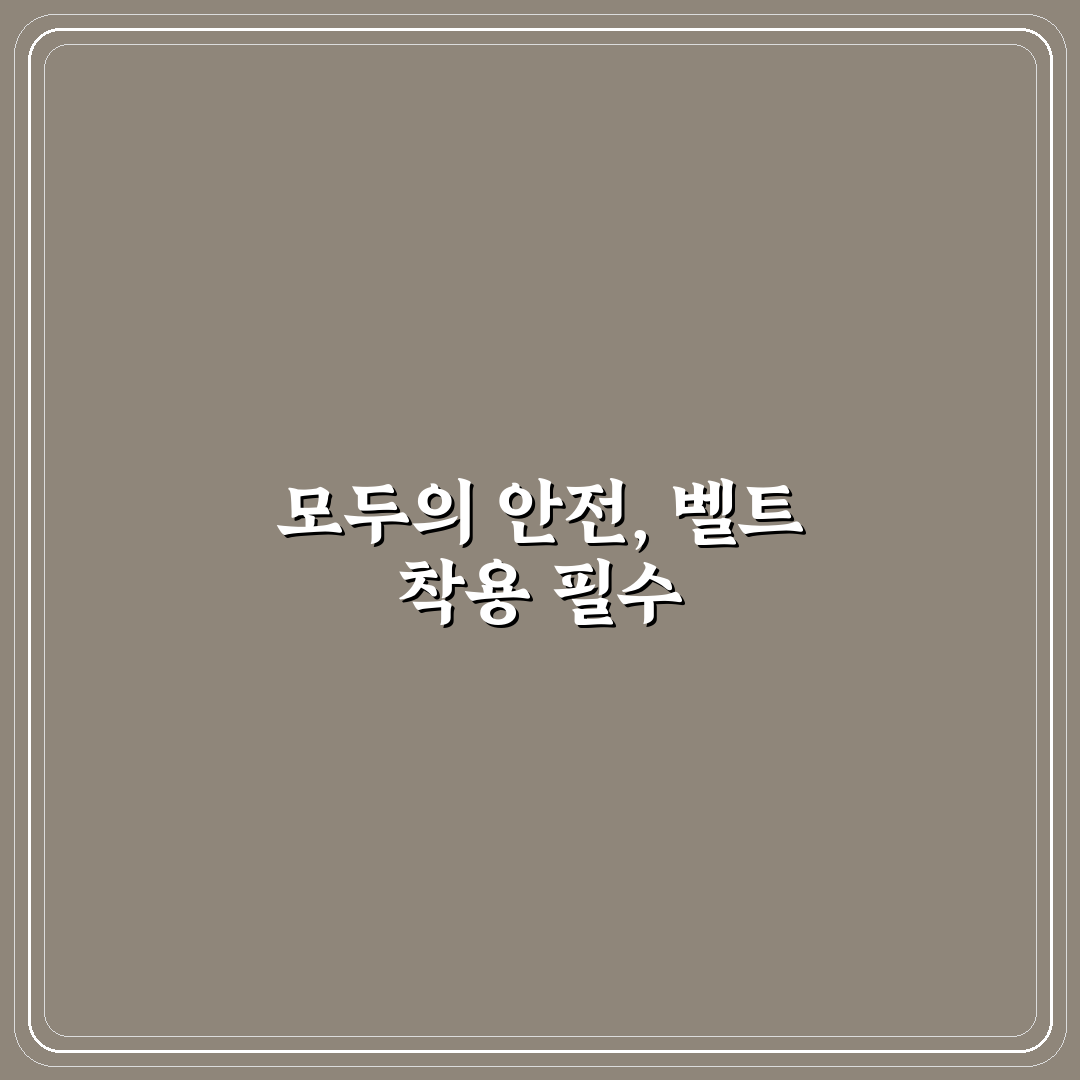 전 좌석 안전벨트 의무화와 뒷좌석 과태료 기준 5가지 핵심가이드