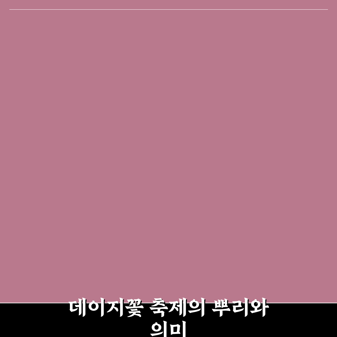 데이지꽃 축제 주요 요소별 비교와 방문 체크포인트 총정리