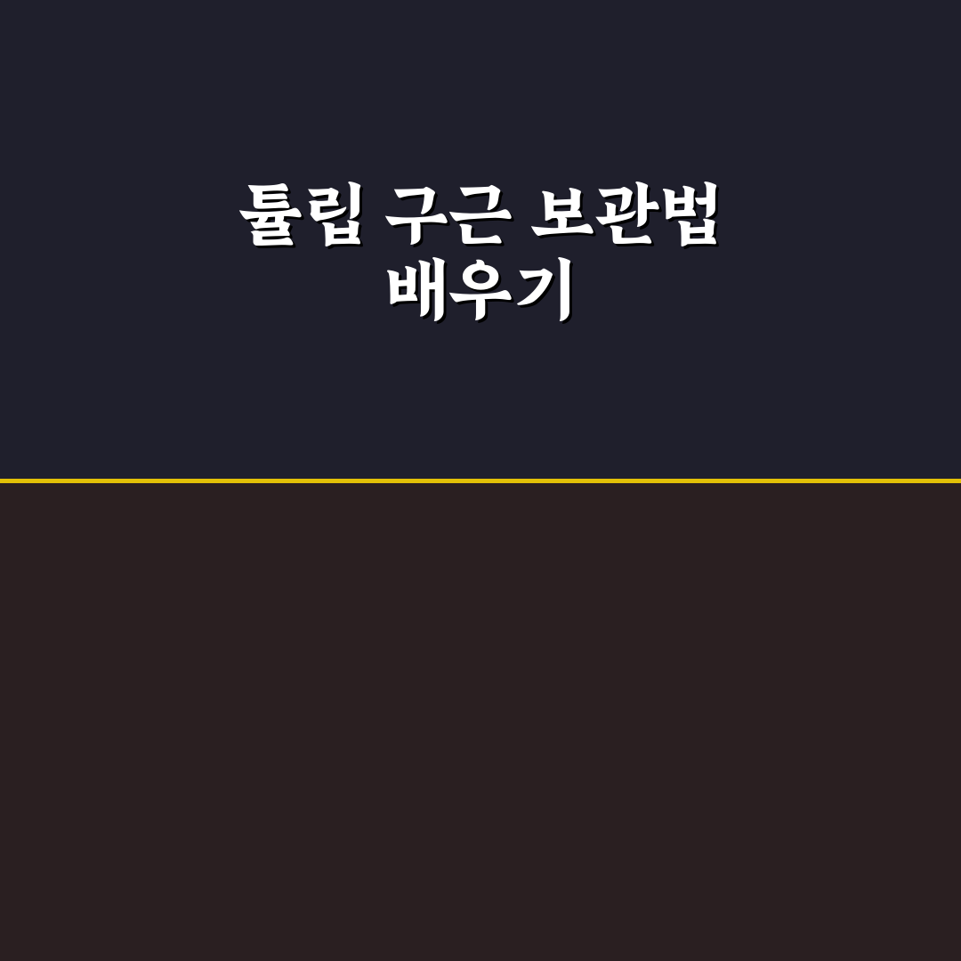 튤립 구근 보관법 5가지 기준별 비교와 체크포인트