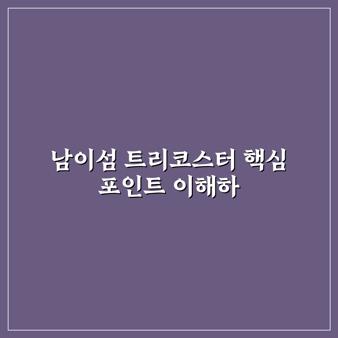 남이섬 트리코스터 이용 기준과 체크포인트 분석 총정리