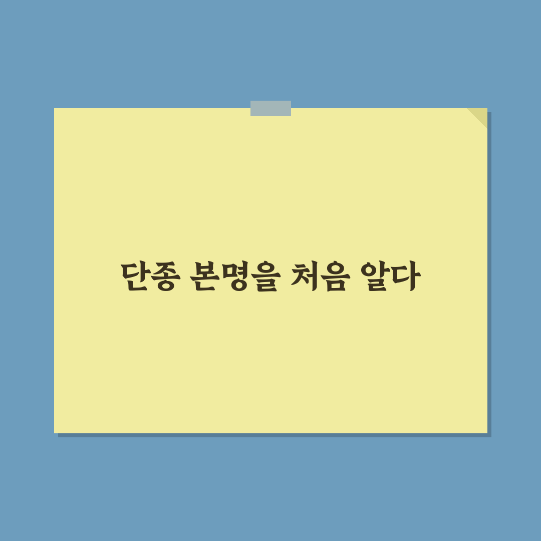 단종 본명 직접 알아보니 혼동되는 경우가 많았어요