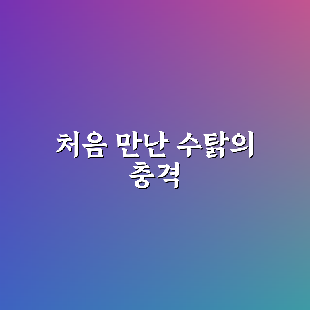 유튜버 수탉 가해자 사건 직접 알아보니 느낌