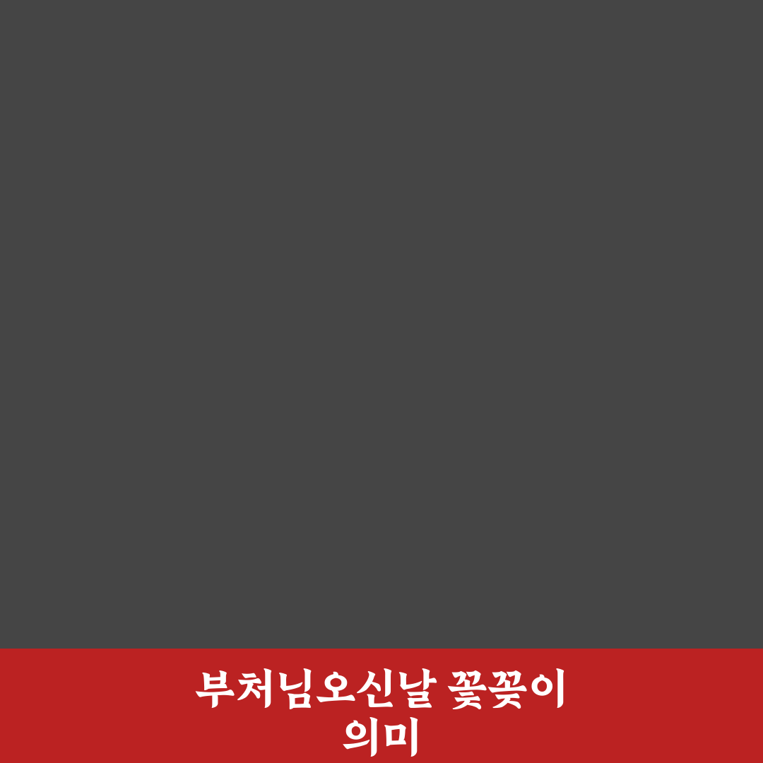 부처님오신날꽃꽂이 5가지 기준별 비교와 가이드