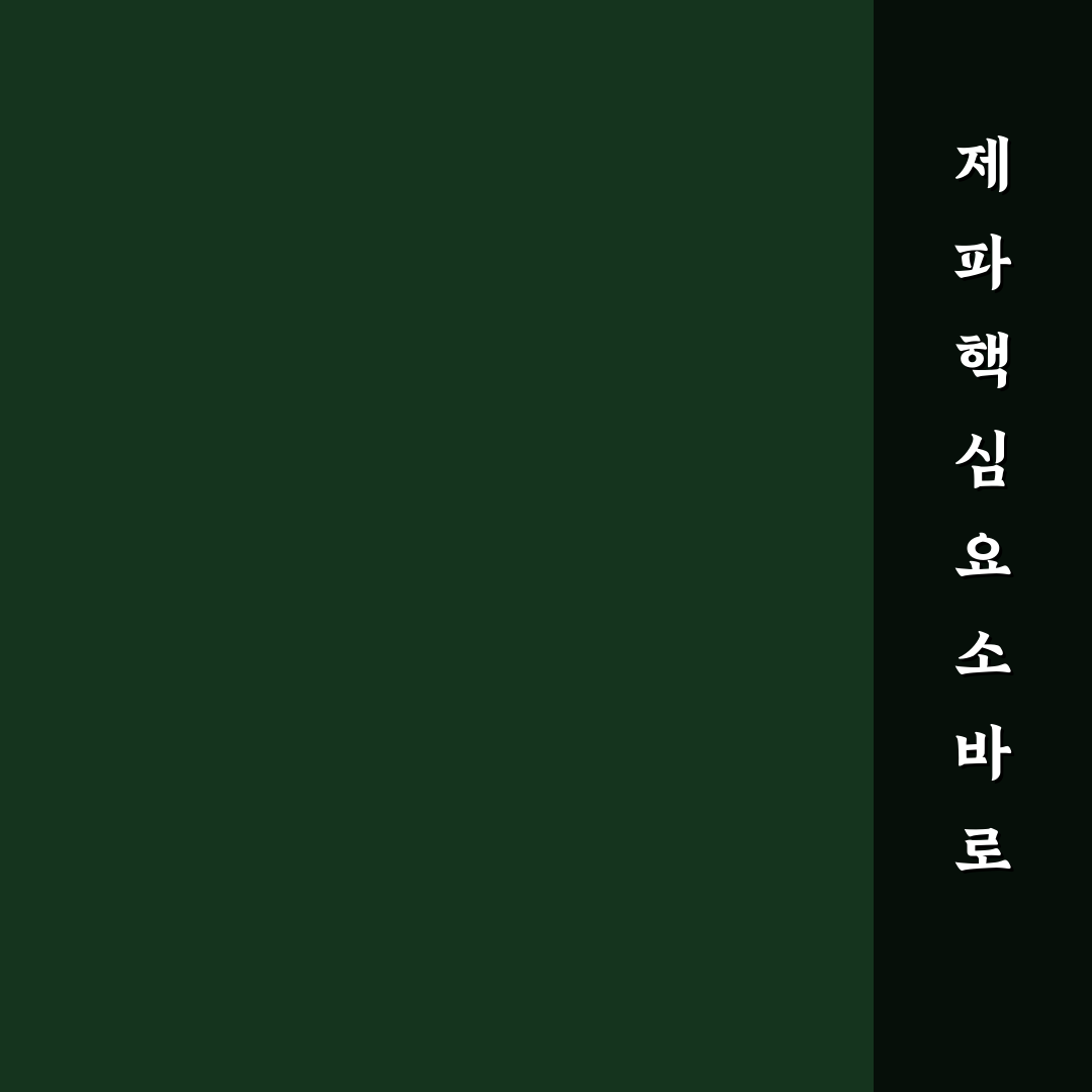 유튜버 제파 콘텐츠 품질 비교와 성장 전략 분석
