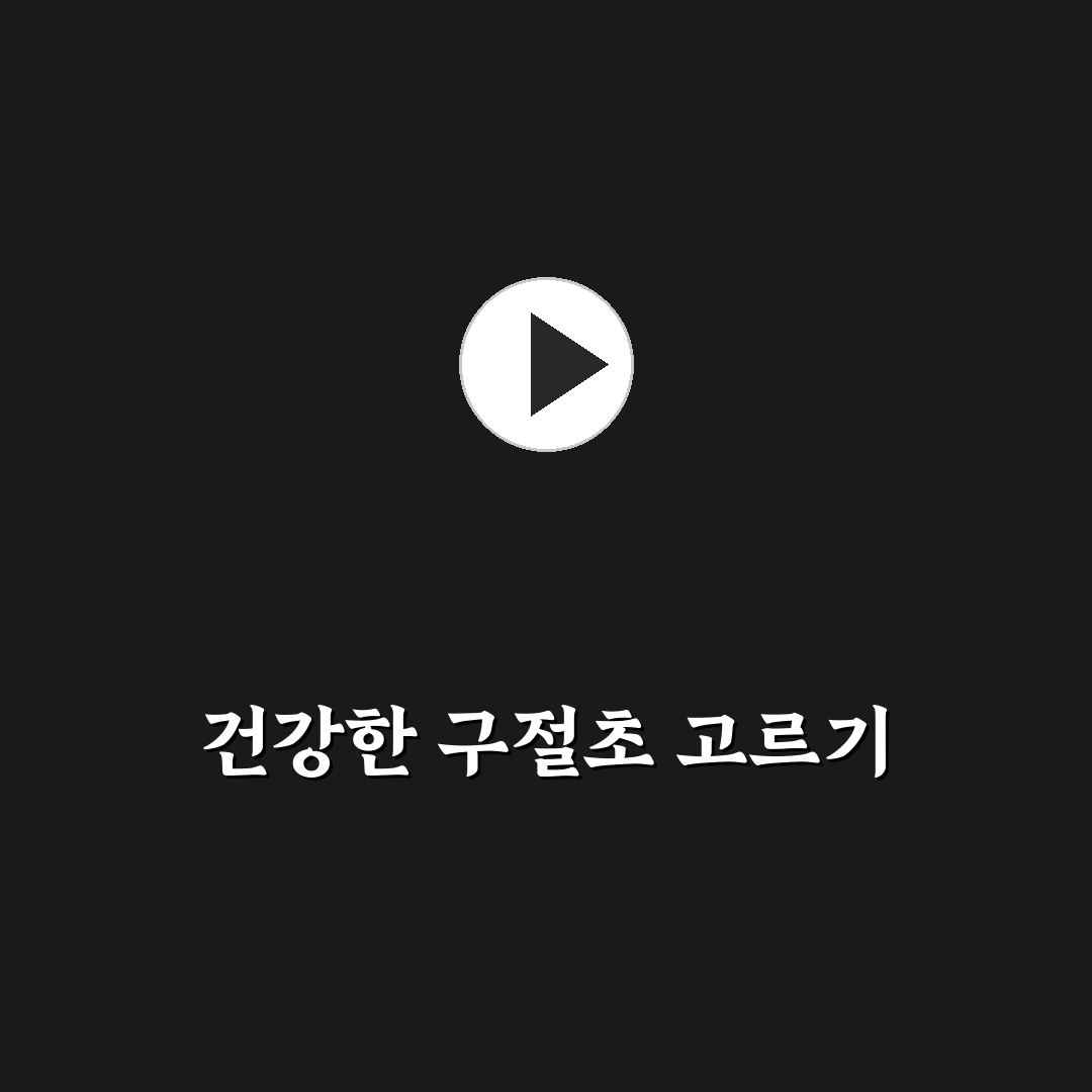 구절초 모종 선택 가이드와 성장 체크포인트 분석