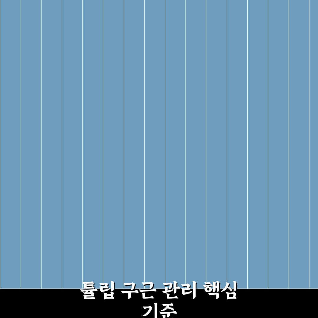 튤립 구근 보관법 5가지 기준별 비교와 가이드
