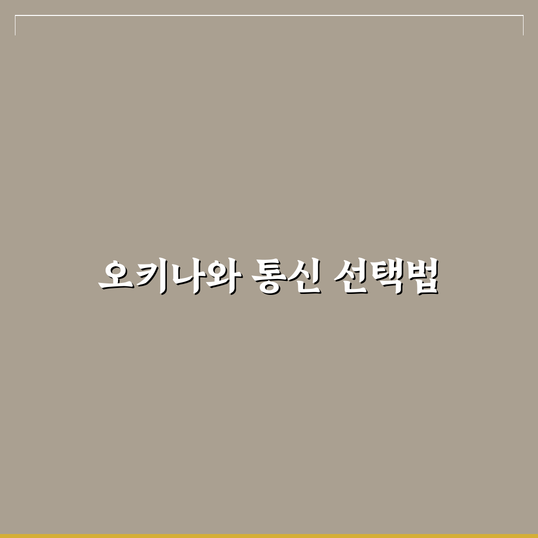 오키나와 esim 선택을 위한 5가지 비교 기준 총정리