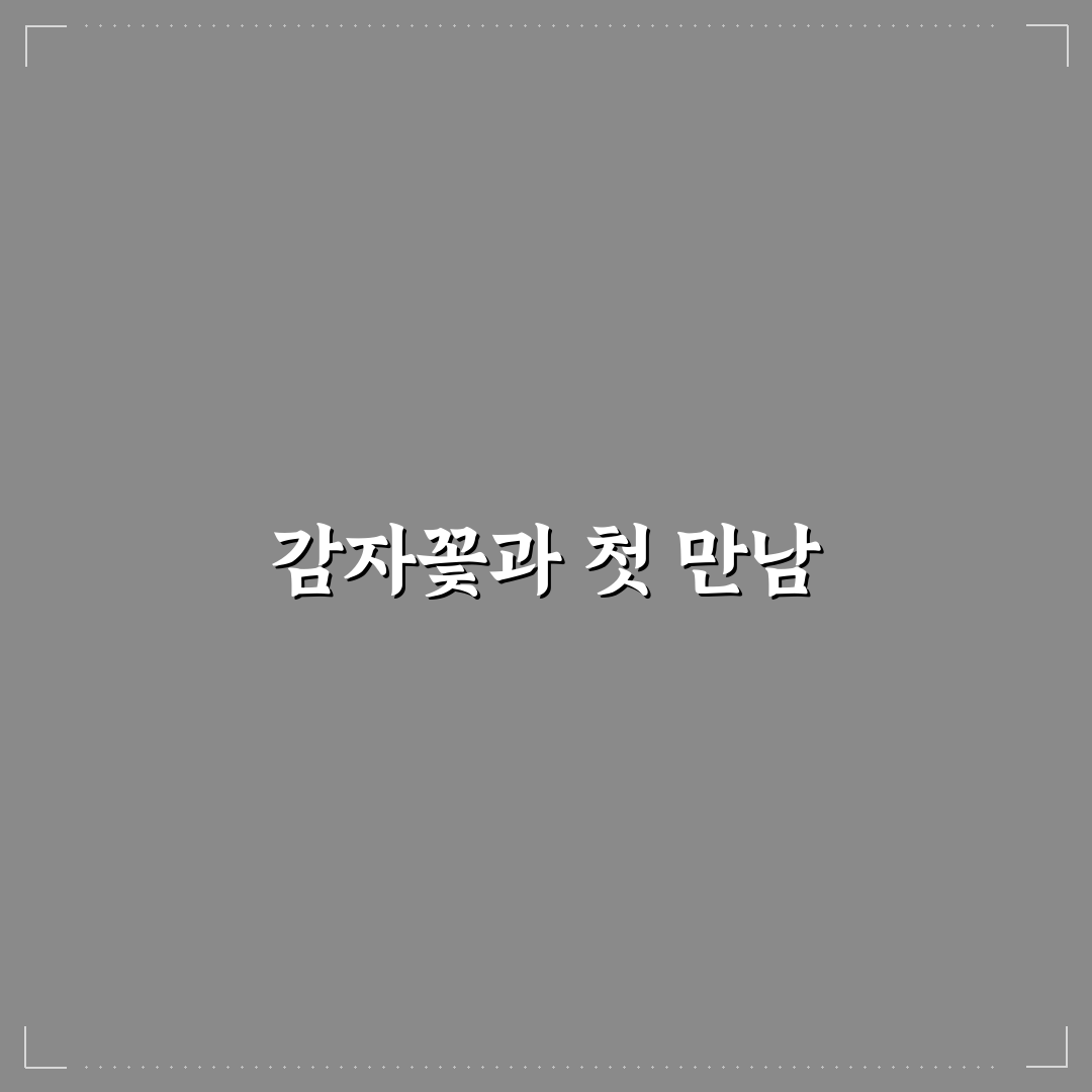 감자꽃 피는 시기 직접 알아보니 계절별 차이점