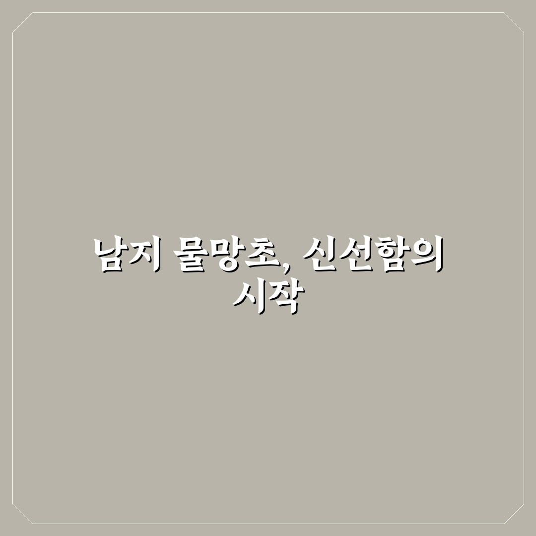 남지 물망초횟집 서비스와 맛 비교 분석 가이드