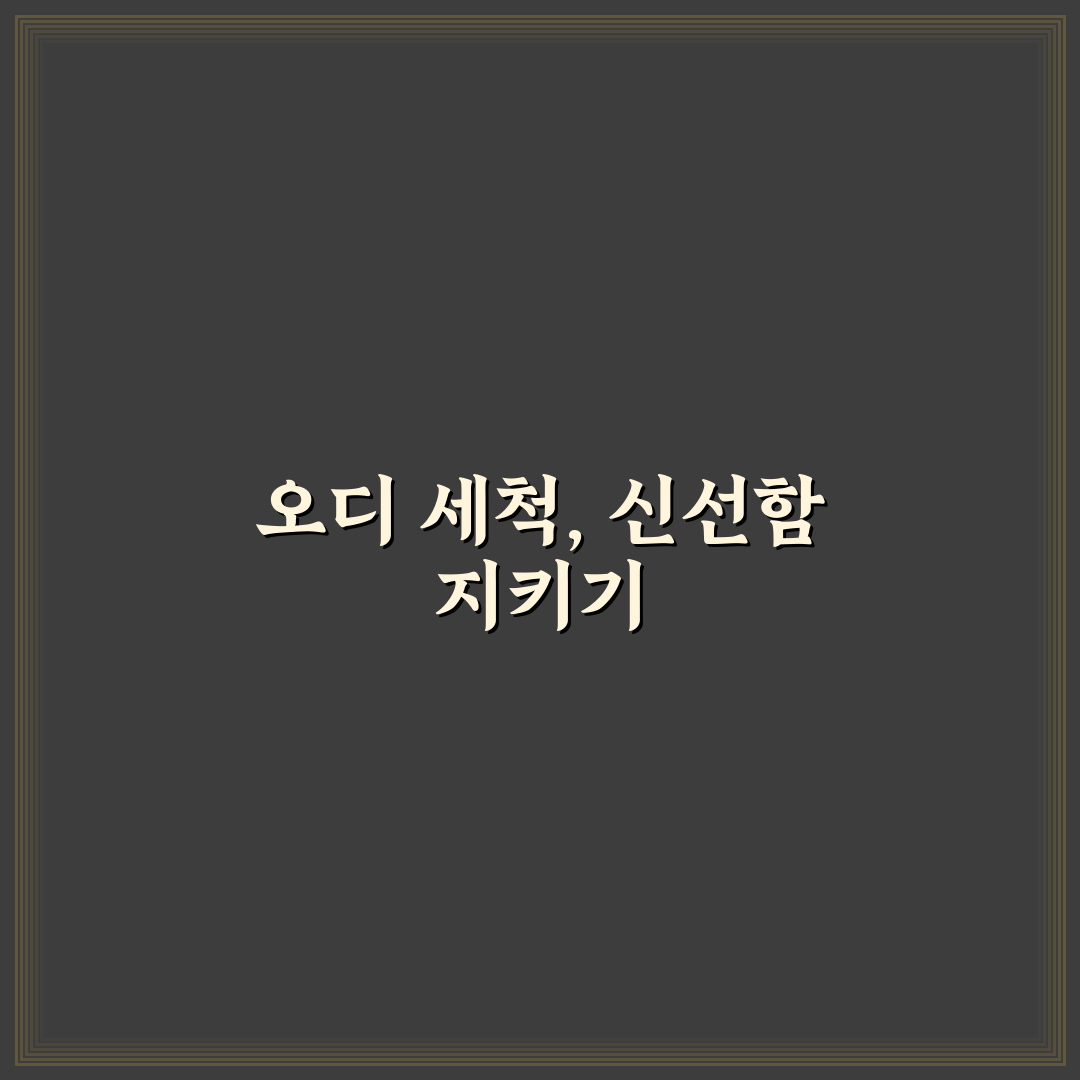 오디 세척법 5가지 기준별 비교와 실전 가이드