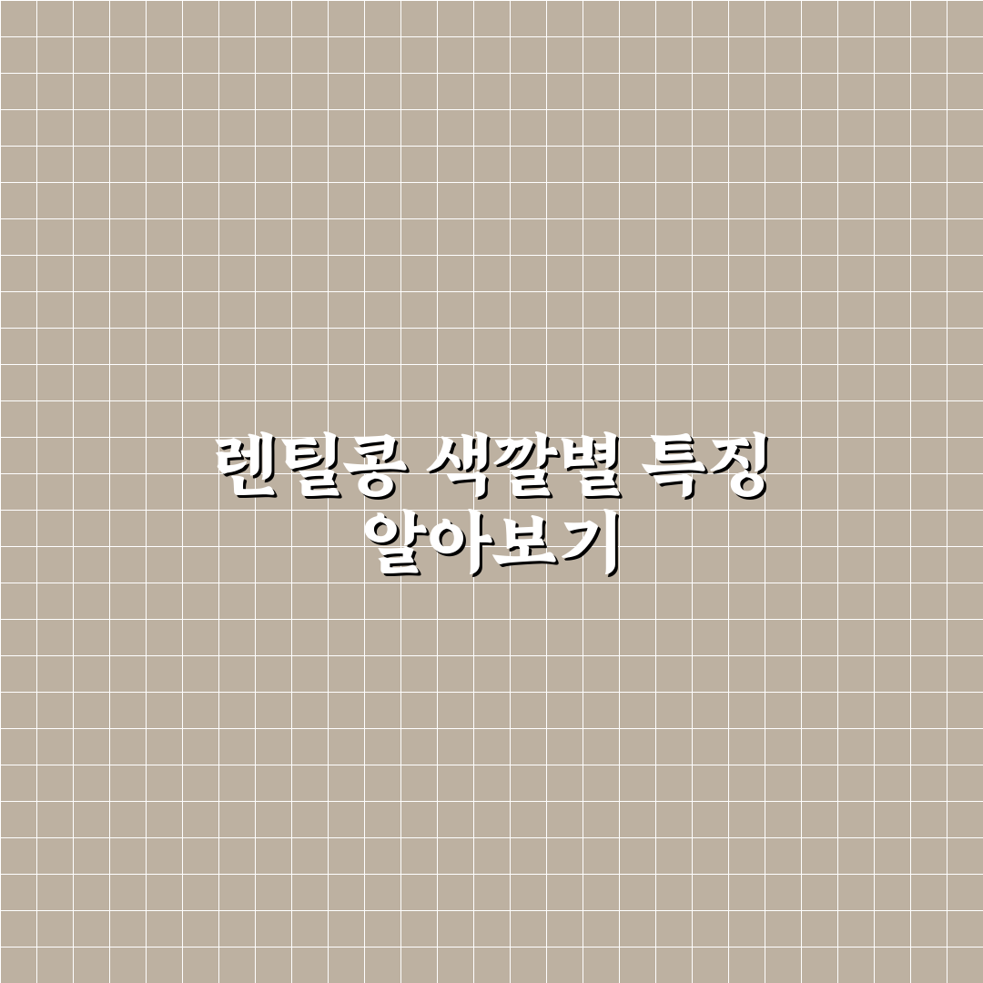 렌틸콩 색깔별 효능 비교와 건강 효과 분석 가이드