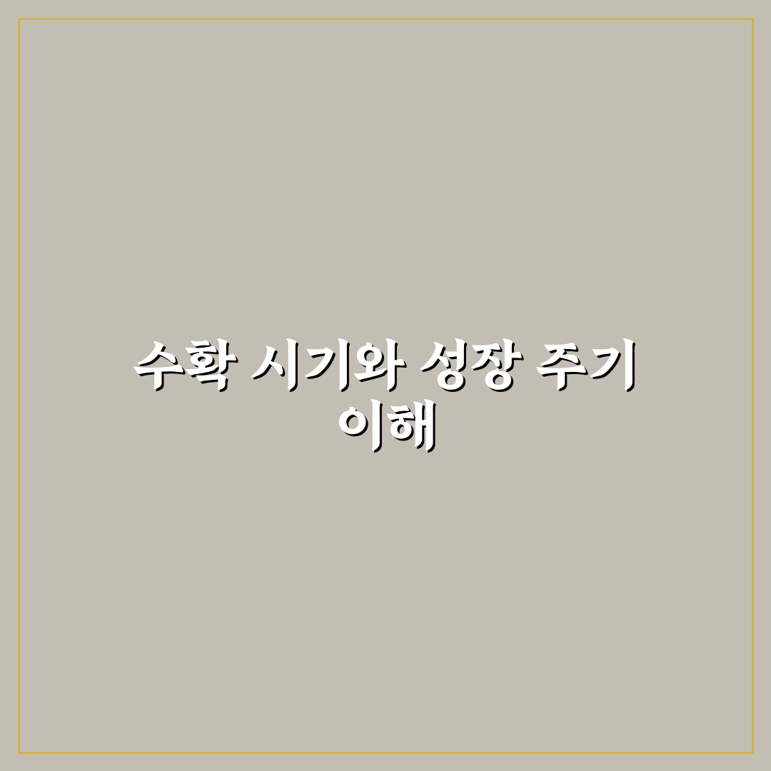 맥문동 수확시기 5가지 체크포인트 비교와 분석