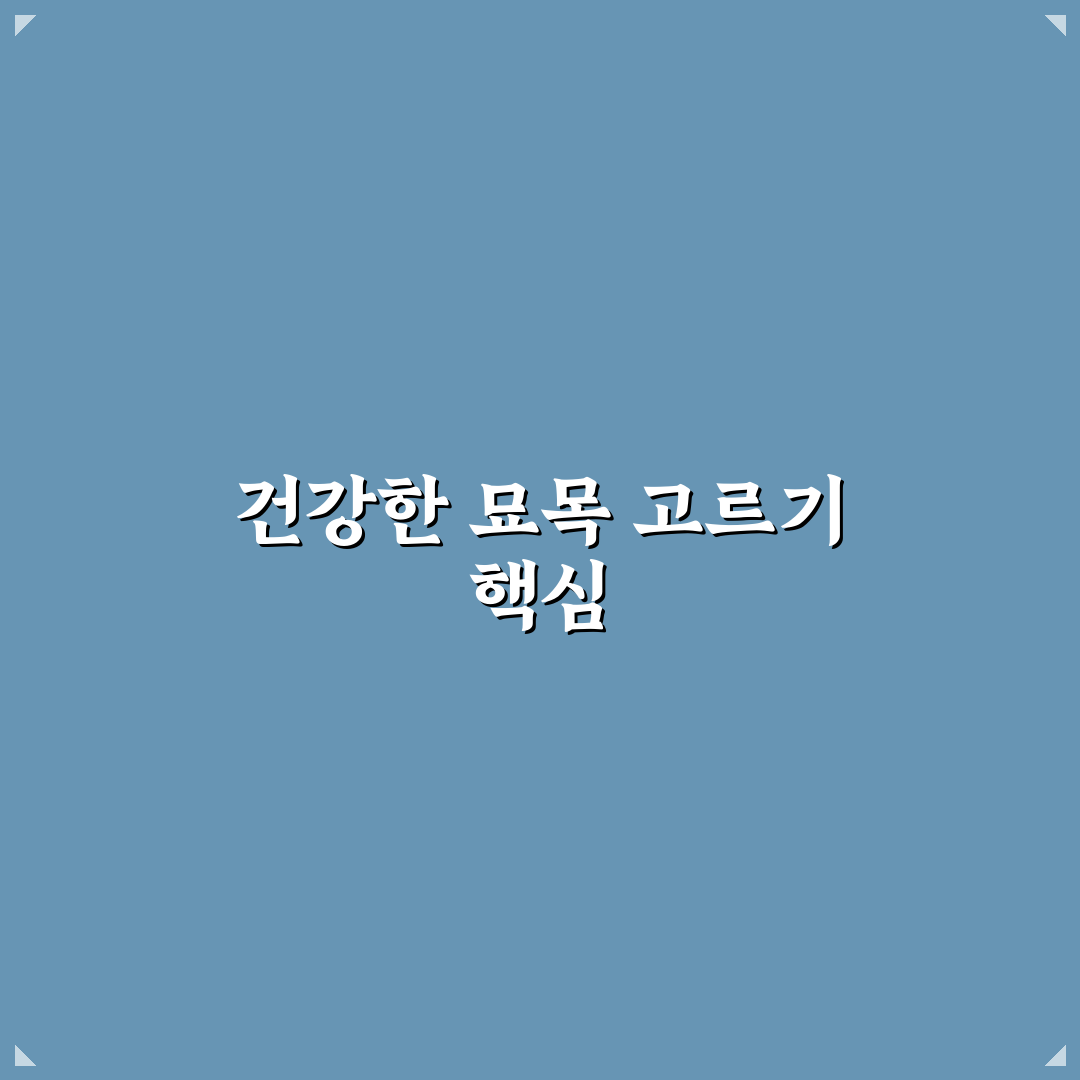이팝나무 묘목 선택 가이드와 5가지 관리 기준 분석