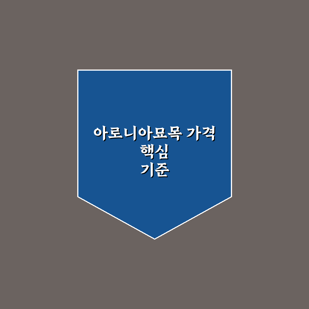 아로니아묘목가격 비교와 구매 전 5가지 체크포인트