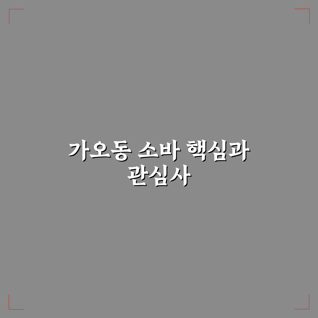가오동 소바 품질과 맛 비교 분석 가이드 5가지 기준