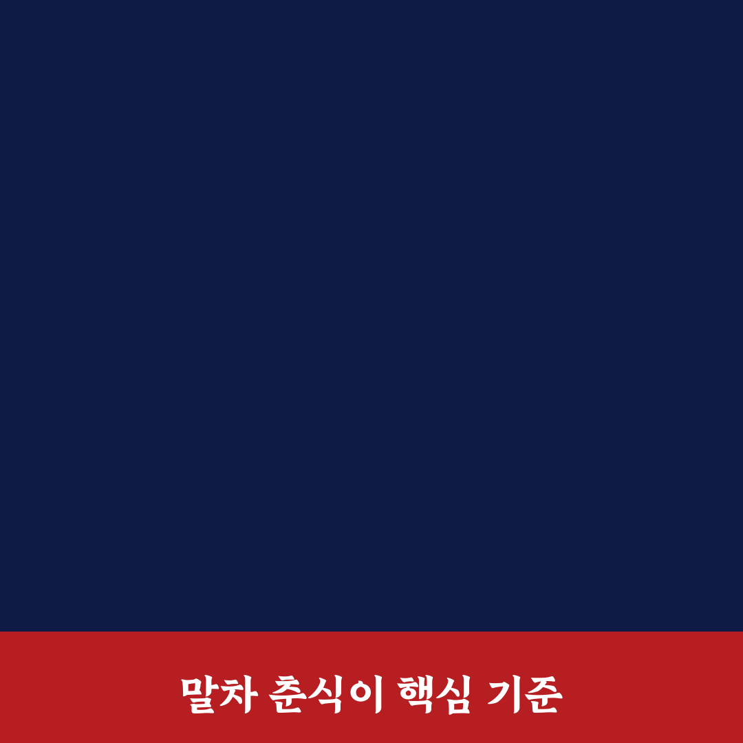 말차 춘식이 비교와 선택 기준 5가지 총정리