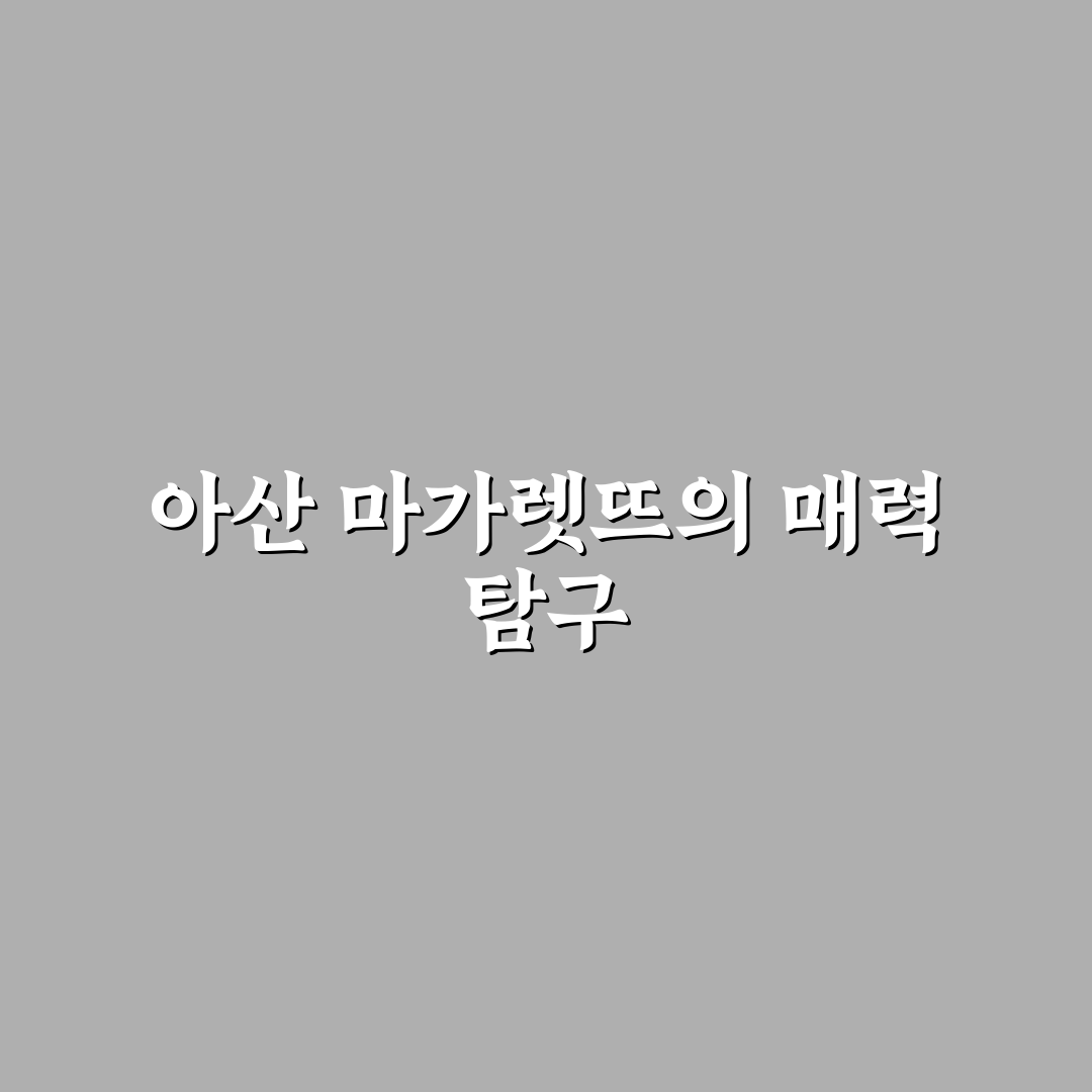 아산 마가렛뜨 객실과 서비스 품질 5가지 기준 분석