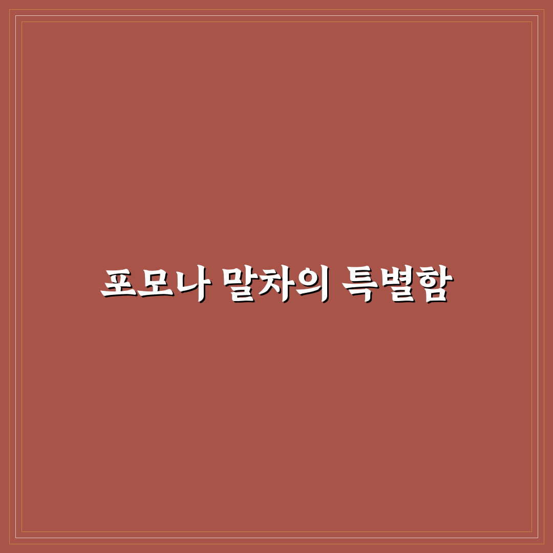 포모나 말차 비교와 품질 판단을 위한 5가지 기준