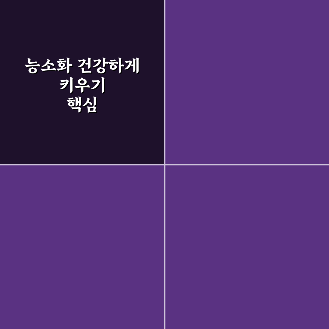 능소화 키우기 핵심 기준과 성장 관리 체크포인트 5가지