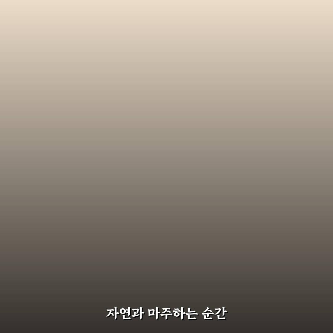 남이섬 차담 방문 전 체크해야 할 5가지 기준 분석