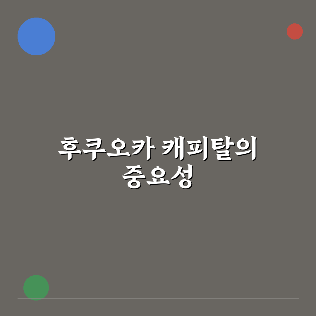 후쿠오카 캐피탈 투자 성공 위한 5가지 비교 기준 총정리