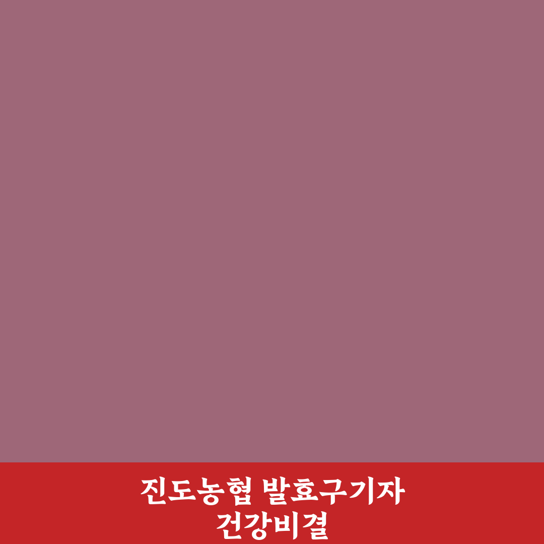 진도농협 발효구기자 진액 품질 비교와 선택 기준 총정리