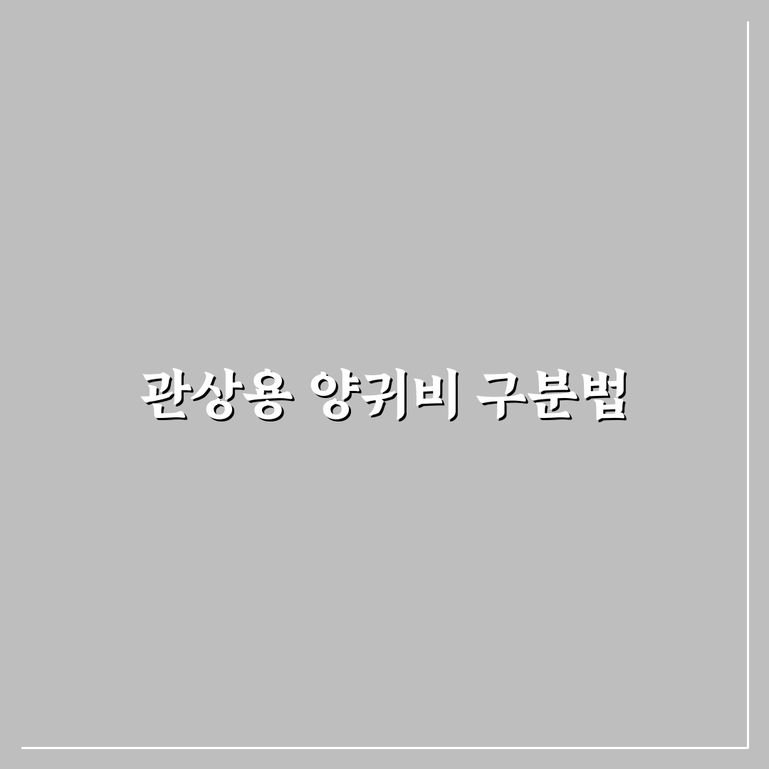 관상용 양귀비 차이 5가지 기준별 비교와 분석