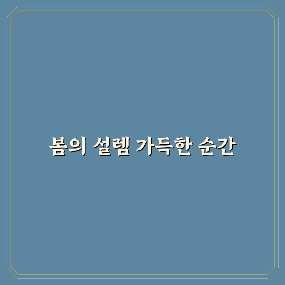 삿포로 라일락 축제 방문 후기, 직접 가보니 분위기와 볼거리