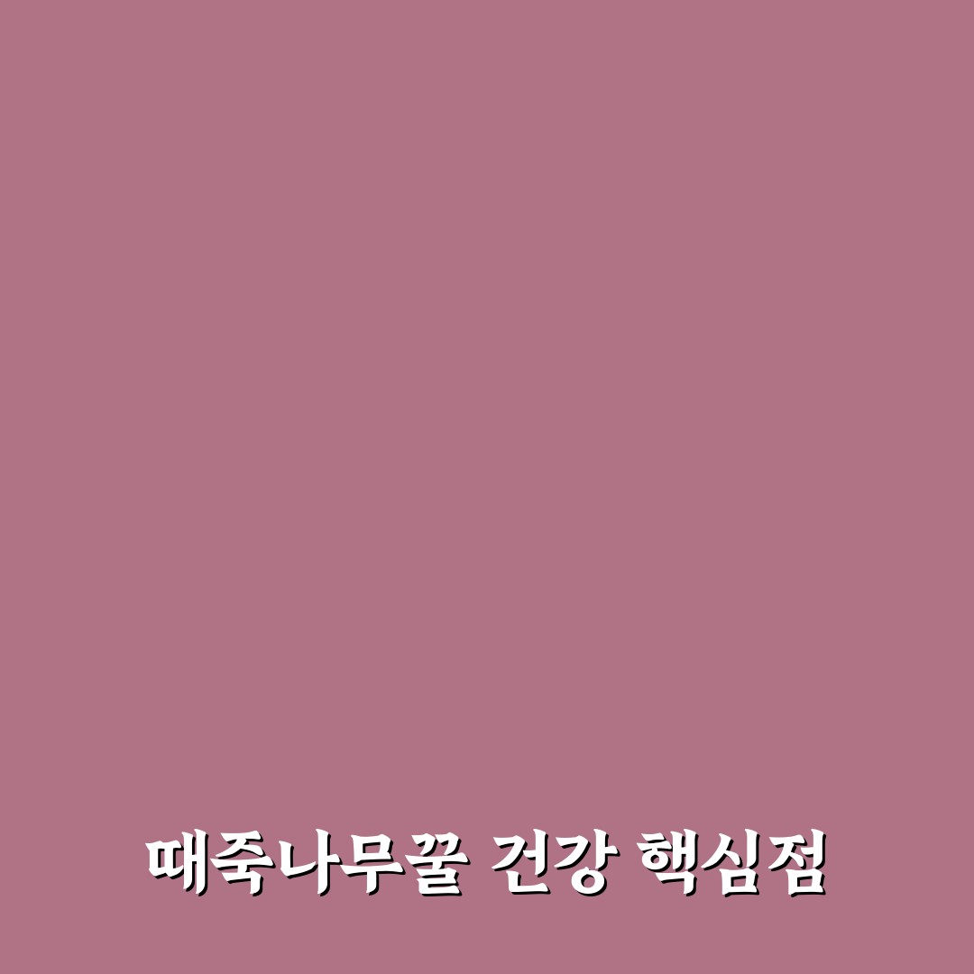 때죽나무꿀 효능 5가지 기준별 효과 분석과 체크포인트