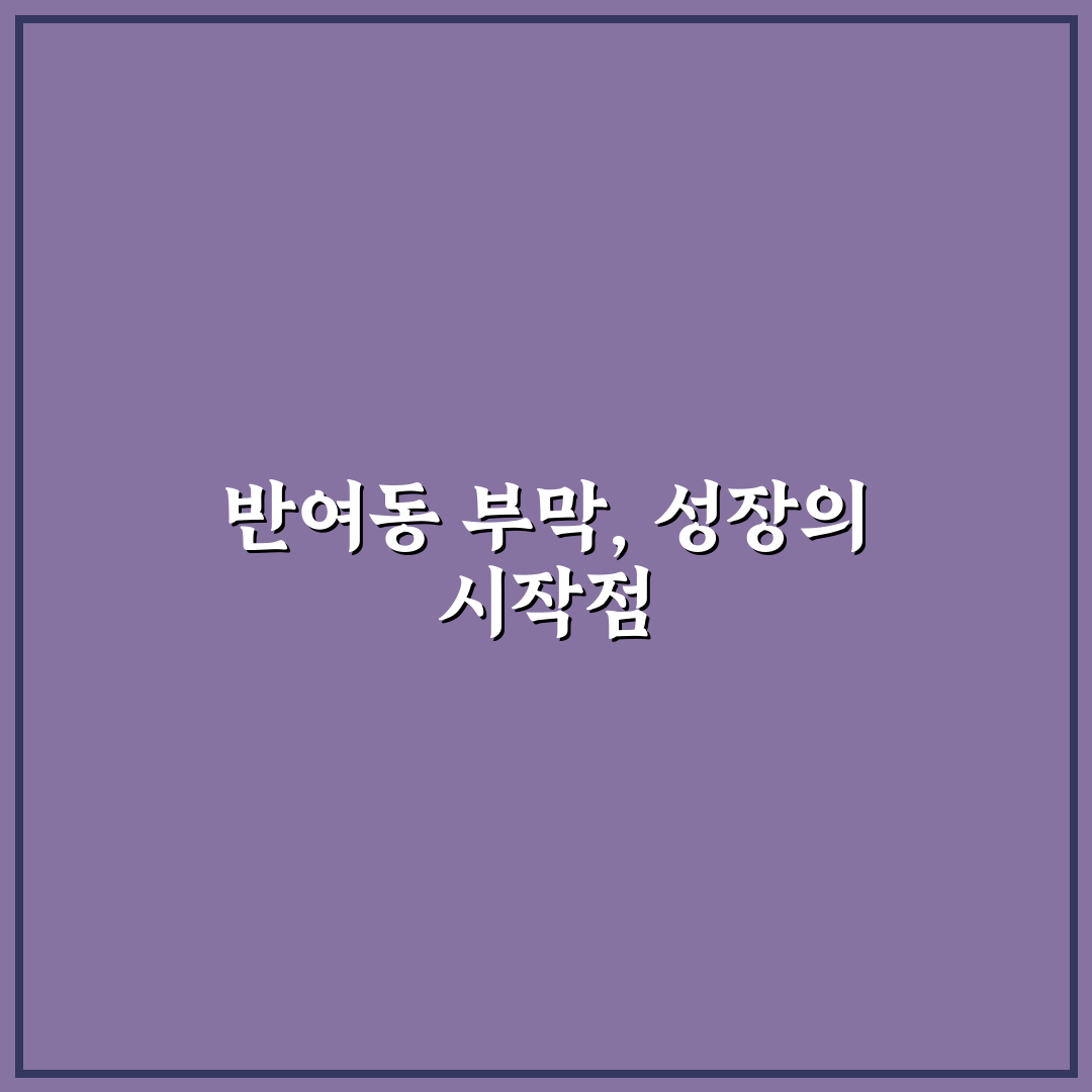 반여동 부막 비교와 선택 기준 5가지 분석 가이드
