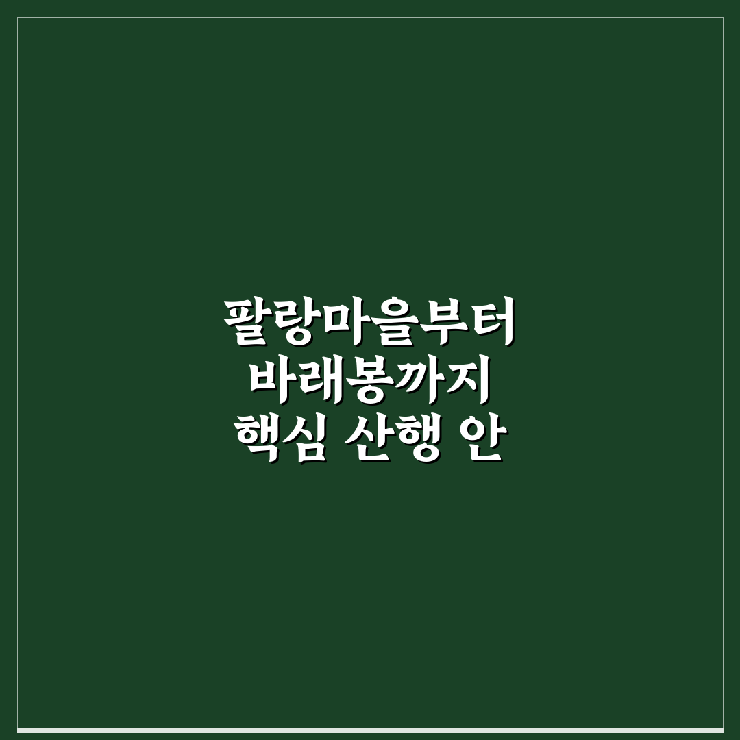 팔랑마을 바래봉 코스 5가지 기준별 비교와 가이드