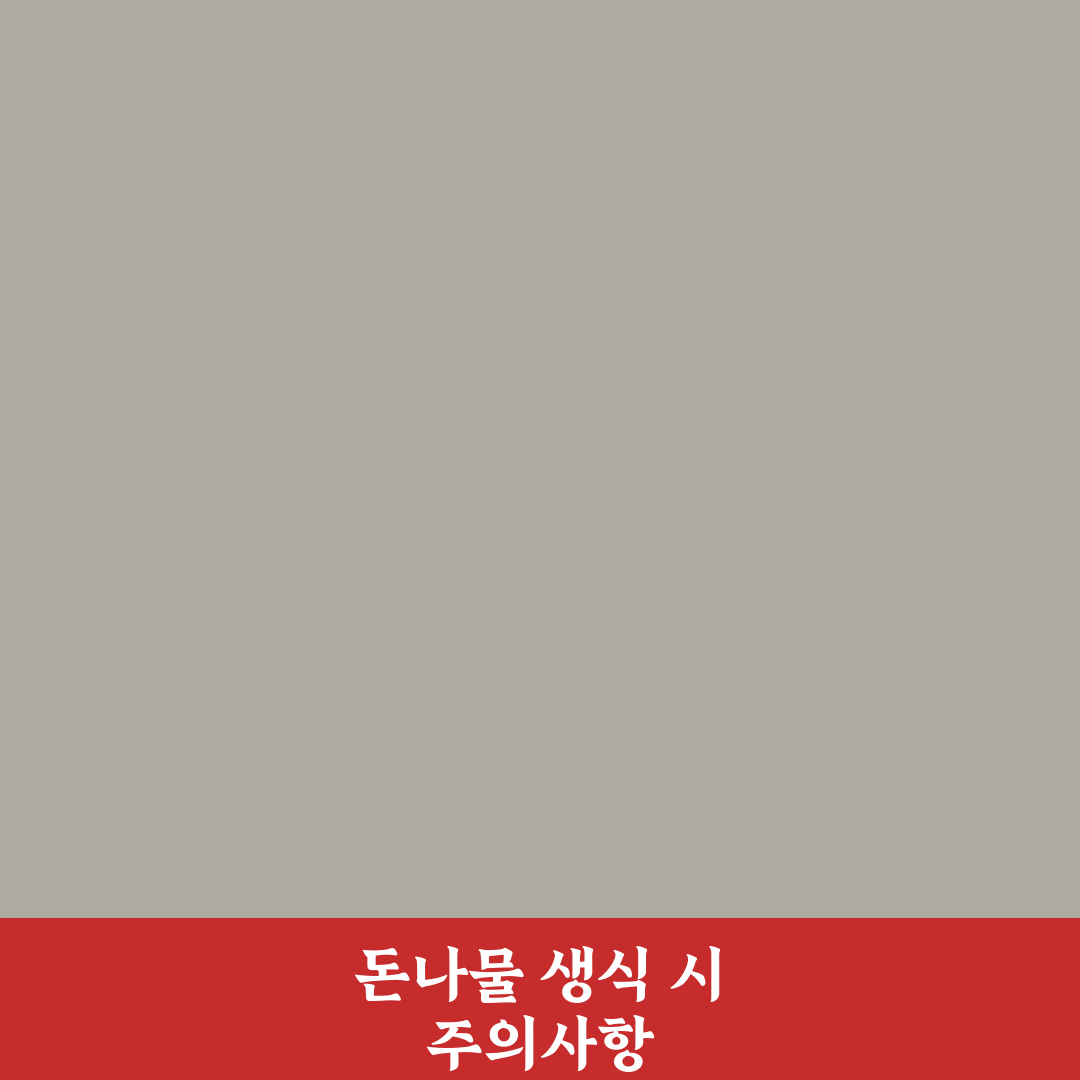 돈나물 생으로 먹는법 5가지 기준별 비교와 가이드