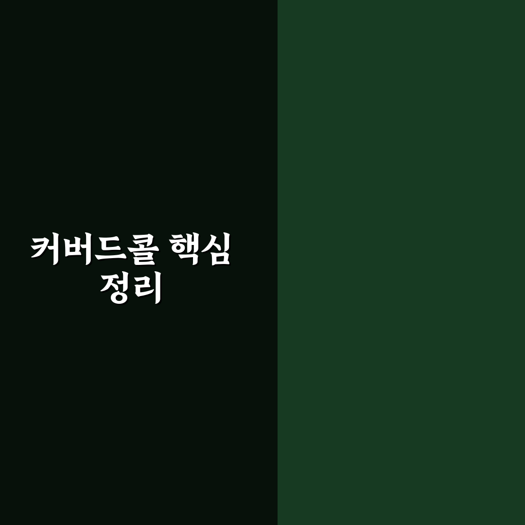 커버드콜 ETF 투자 기준 5가지 체크포인트 분석