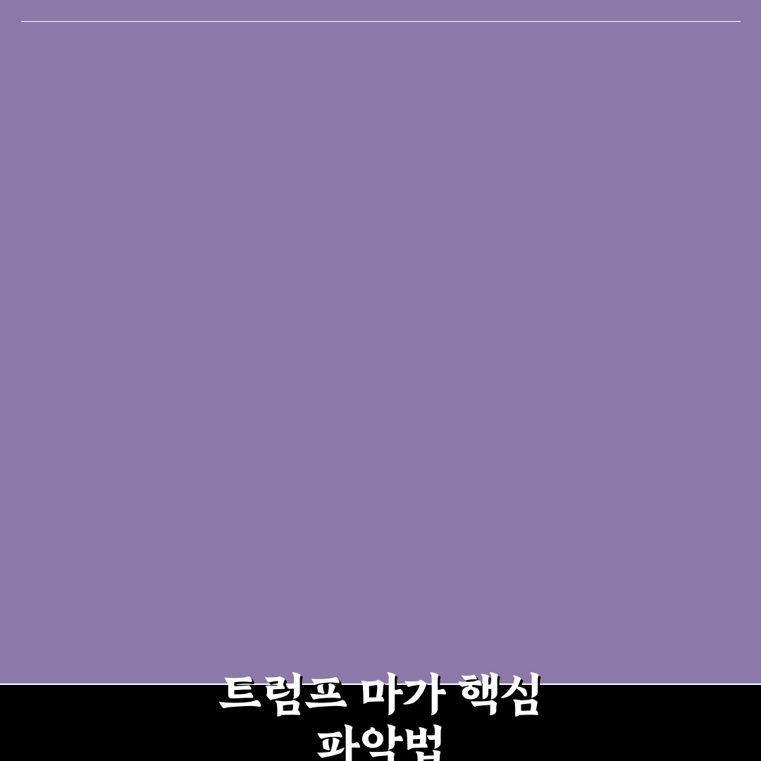 트럼프 마가 뜻과 활용법 5가지 기준 분석 및 총정리