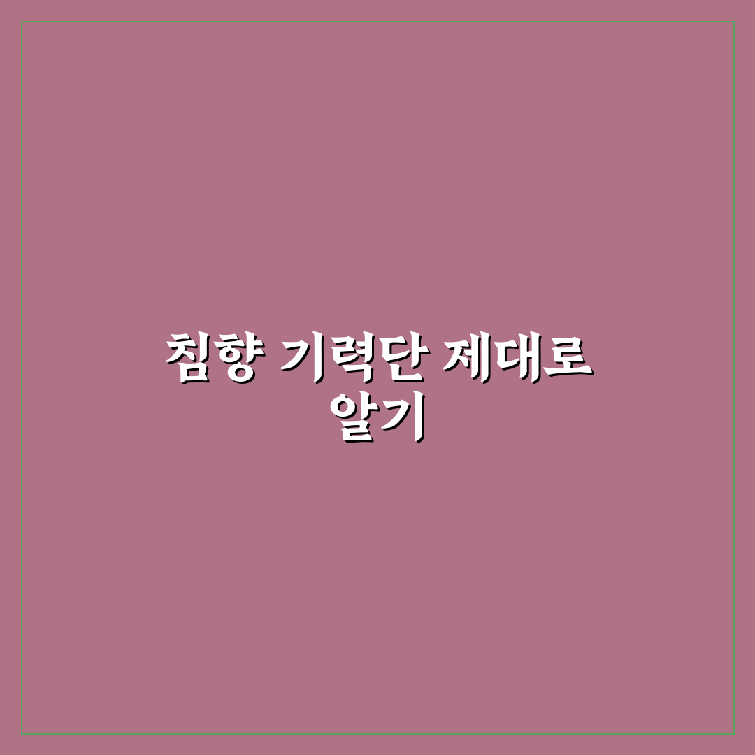 침향 기력단 효능 5가지 기준별 비교와 분석 가이드