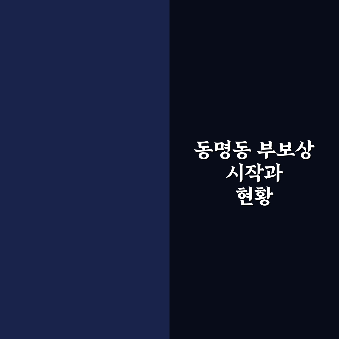 동명동 부보상 비교와 분석을 통한 최적 선택 기준 7가지