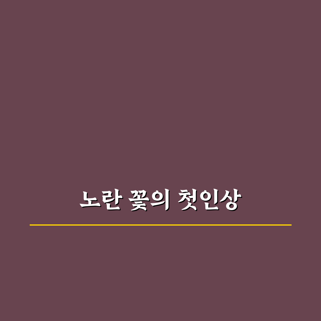 금계국 파종시기 직접 알아보니 적절한 시기와 조건