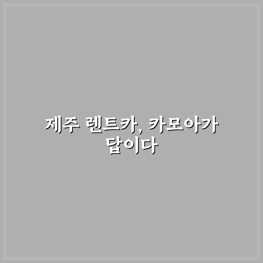 제주 렌트카 카모아 서비스 비교와 선택 기준 총정리