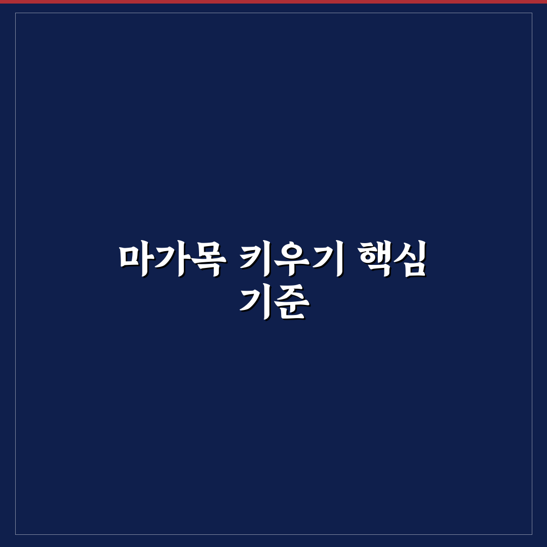 마가목 나무 키우기 가이드와 관리 체크포인트 총정리