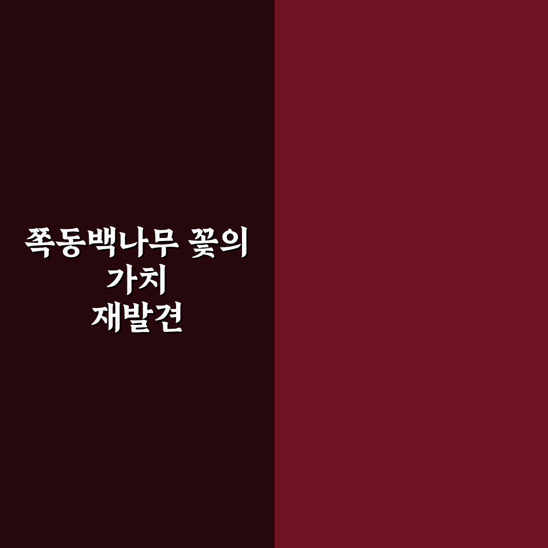 쪽동백나무 꽃 비교와 특징 분석 5가지 기준 총정리