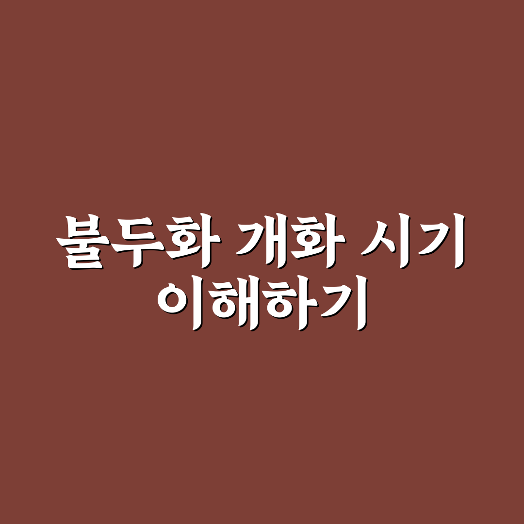 불두화 개화시기별 특징과 관리법 총정리